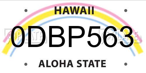 0DBP563 Hawaii License Plate