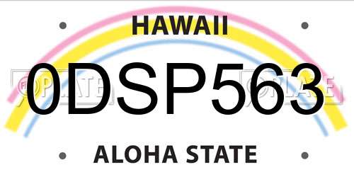 0DSP563 Hawaii License Plate