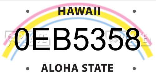 0EB5358 Hawaii License Plate