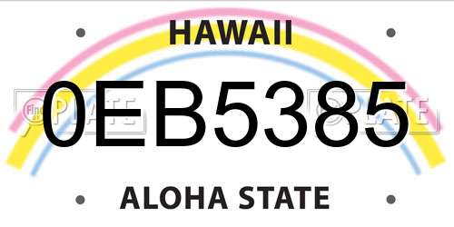 0EB5385 Hawaii License Plate