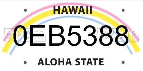 0EB5388 Hawaii License Plate