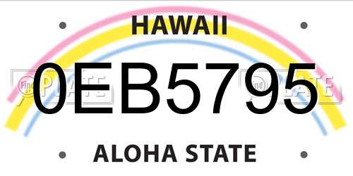 0EB5795 Hawaii License Plate
