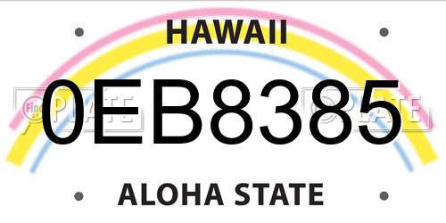 0EB8385 Hawaii License Plate