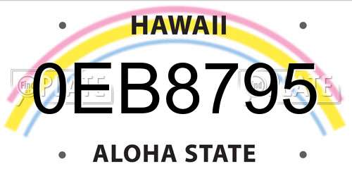 0EB8795 Hawaii License Plate
