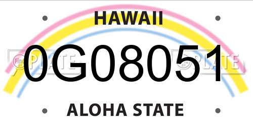 0G08051 Hawaii License Plate