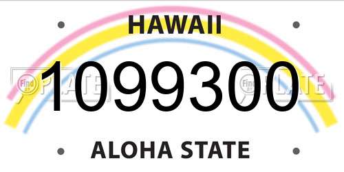 1099300 Hawaii License Plate