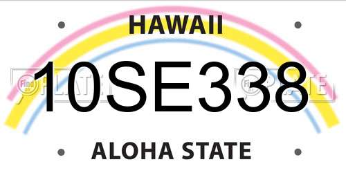 10SE338 Hawaii License Plate