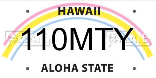 110MTY Hawaii License Plate