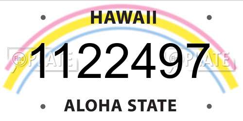 1122497 Hawaii License Plate