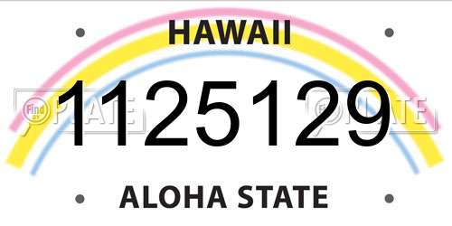 1125129 Hawaii License Plate