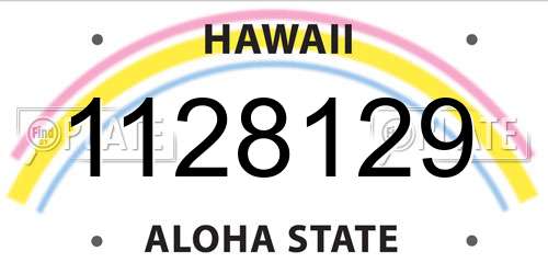 1128129 Hawaii License Plate