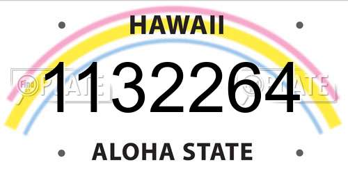 1132264 Hawaii License Plate