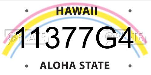 11377G4 Hawaii License Plate