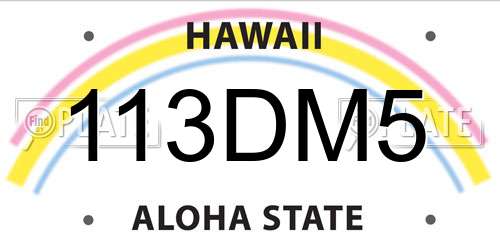 113DM5 Hawaii License Plate