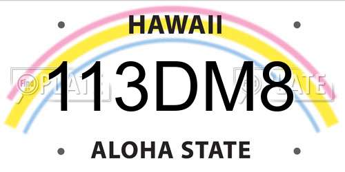 113DM8 Hawaii License Plate