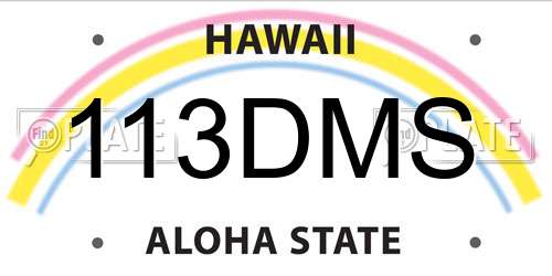 113DMS Hawaii License Plate