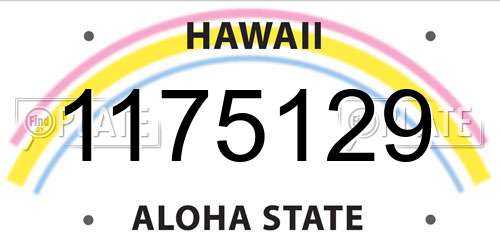 1175129 Hawaii License Plate