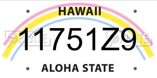 11751Z9 Hawaii License Plate
