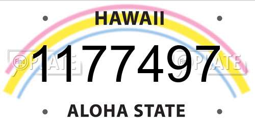 1177497 Hawaii License Plate