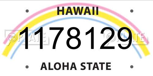 1178129 Hawaii License Plate
