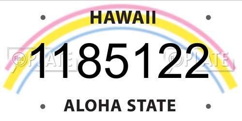 1185122 Hawaii License Plate