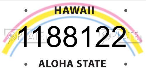 1188122 Hawaii License Plate