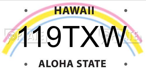 119TXW Hawaii License Plate