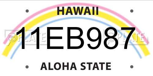 11EB987 Hawaii License Plate
