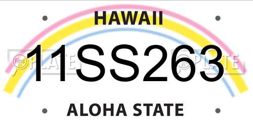 11SS263 Hawaii License Plate