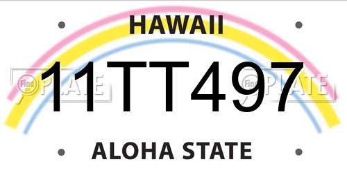 11TT497 Hawaii License Plate