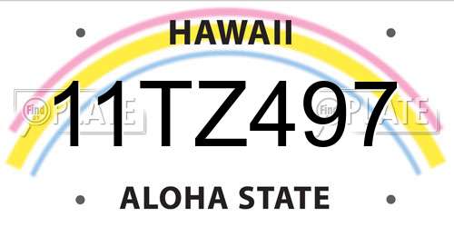 11TZ497 Hawaii License Plate