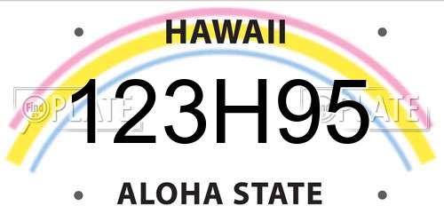123H95 Hawaii License Plate