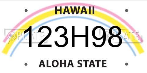 123H98 Hawaii License Plate