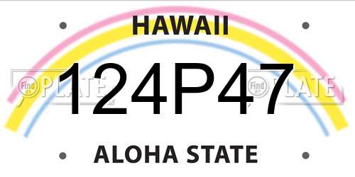 124P47 Hawaii License Plate
