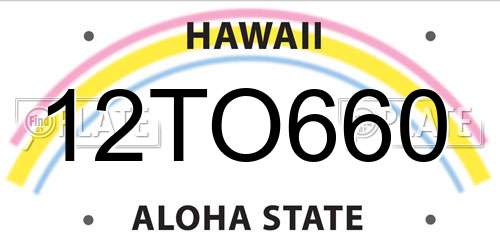 12TO660 Hawaii License Plate
