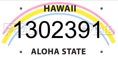 1302391 Hawaii License Plate