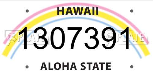 1307391 Hawaii License Plate