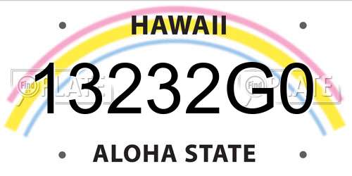 13232G0 Hawaii License Plate