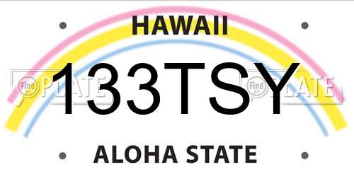 133TSY Hawaii License Plate