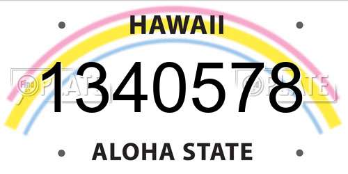 1340578 Hawaii License Plate