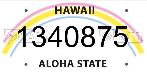 1340875 Hawaii License Plate