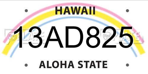 13AD825 Hawaii License Plate