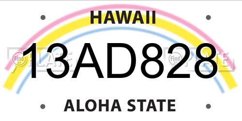 13AD828 Hawaii License Plate