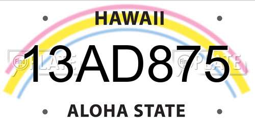 13AD875 Hawaii License Plate