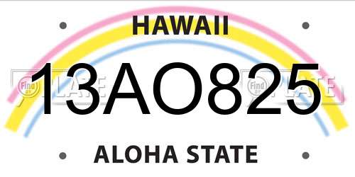 13AO825 Hawaii License Plate