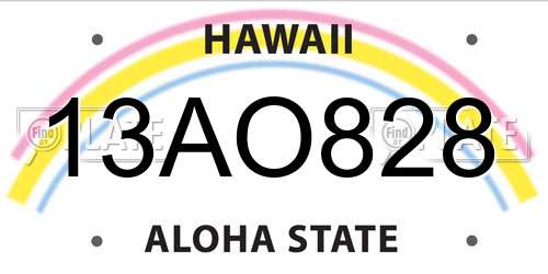 13AO828 Hawaii License Plate