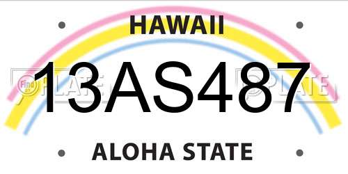 13AS487 Hawaii License Plate