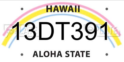 13DT391 Hawaii License Plate