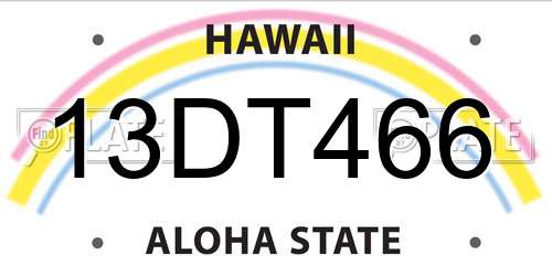 13DT466 Hawaii License Plate
