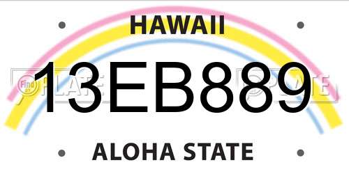13EB889 Hawaii License Plate